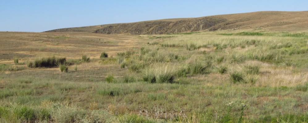 
            Фотография села Акбастау