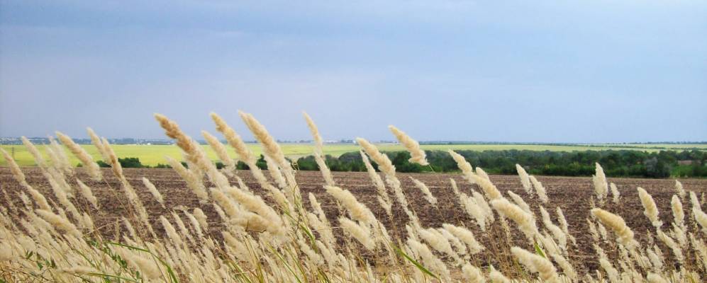 
            Фотография Днепровского