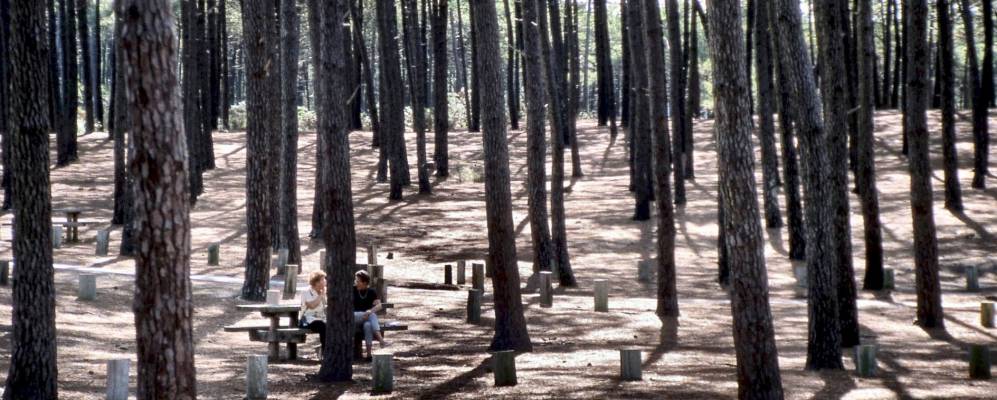 
            Фотография Бискаррос-Плаж