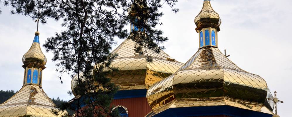 
            Фотография Олешника