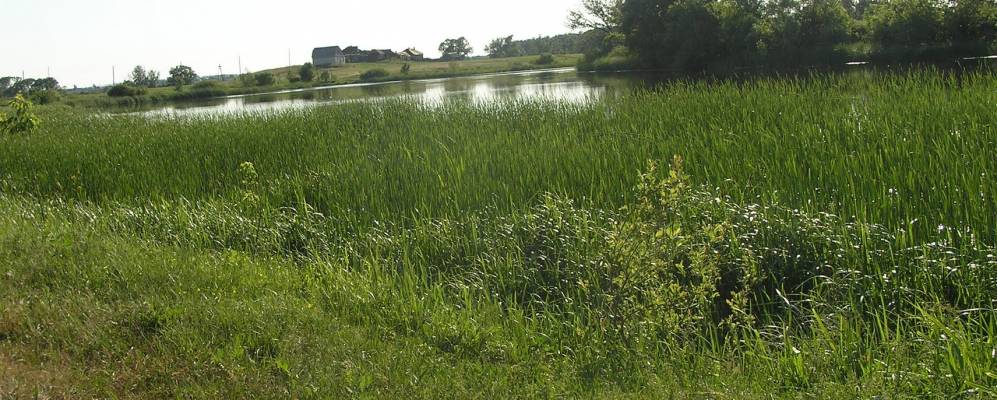 
            Фотография Тихого Угла