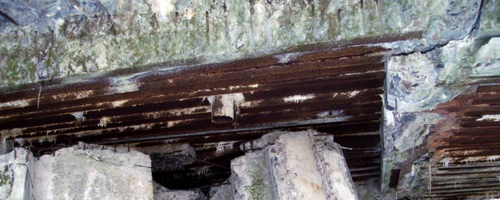 
            Фотография Куличкова