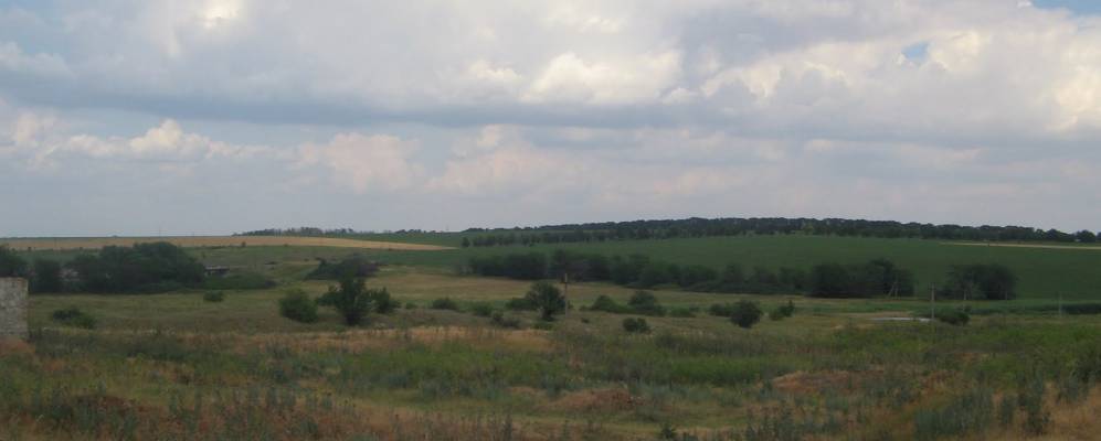 
            Фотография Никитина