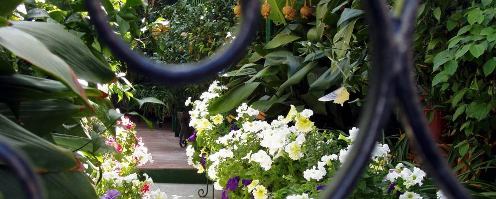 
            Фотография Велес