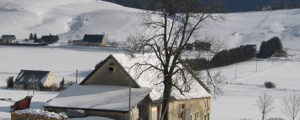 
            Фотография Меодра