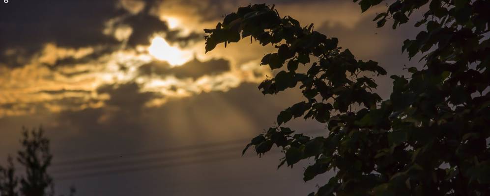 
            Фотография Гвоздово