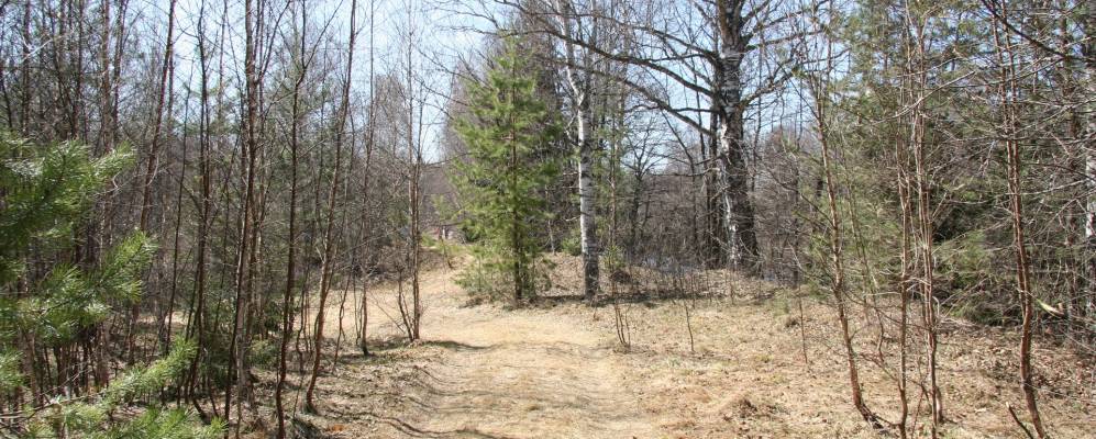 
            Фотография Конево