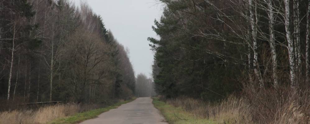 
            Фотография Зайцовки