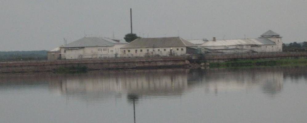 
            Фотография Волково