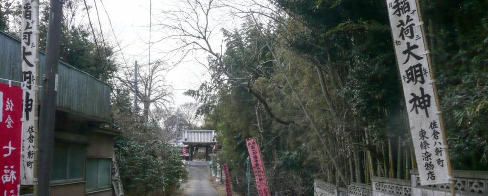 
            Фотография Сакуры