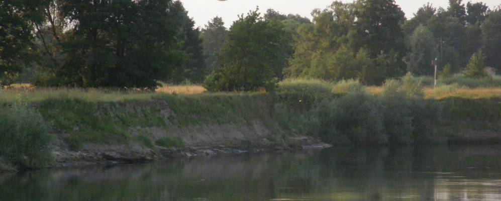 
            Фотография Синютина