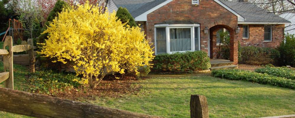 
            Фотография Гленвуд Лендинга