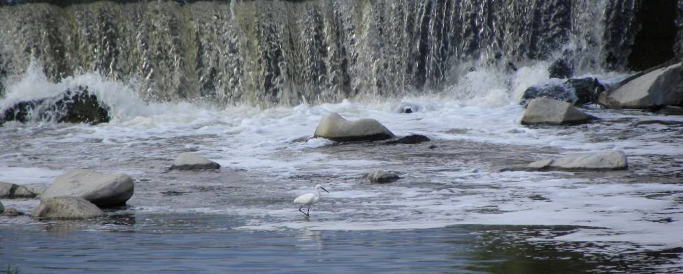 
            Фотография Монткада