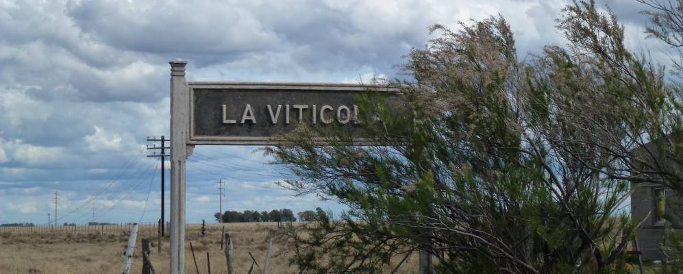 
            Фотография La Vitícola
