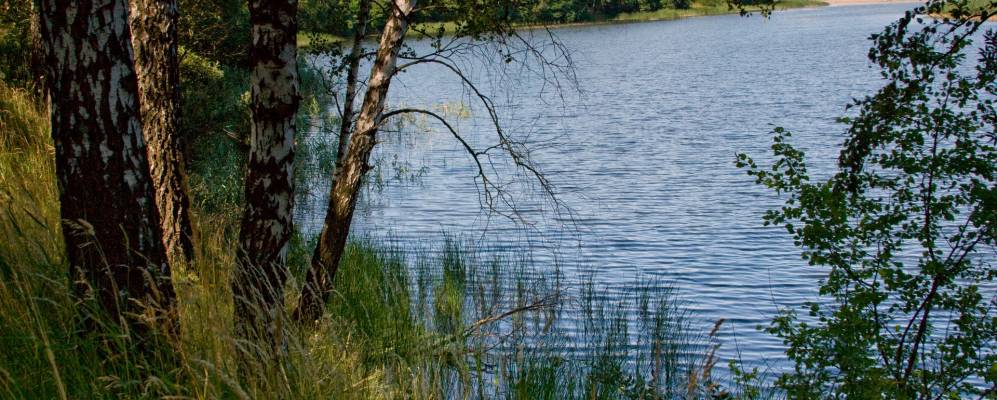 
            Фотография Мохновки