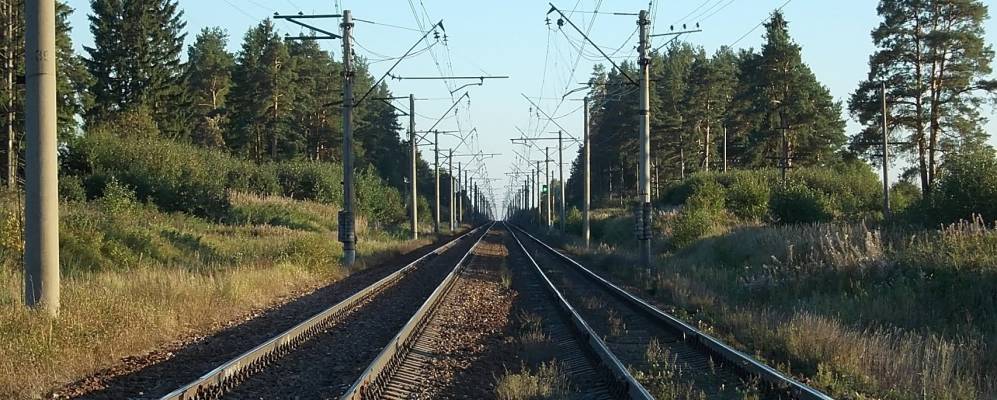 
            Фотография Большево