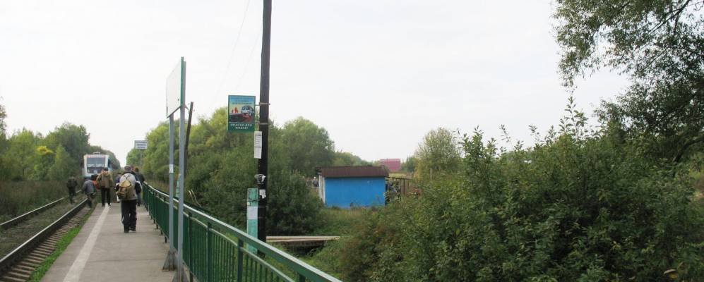 Фотография Бузуково