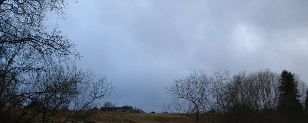 
            Фотография Васиса