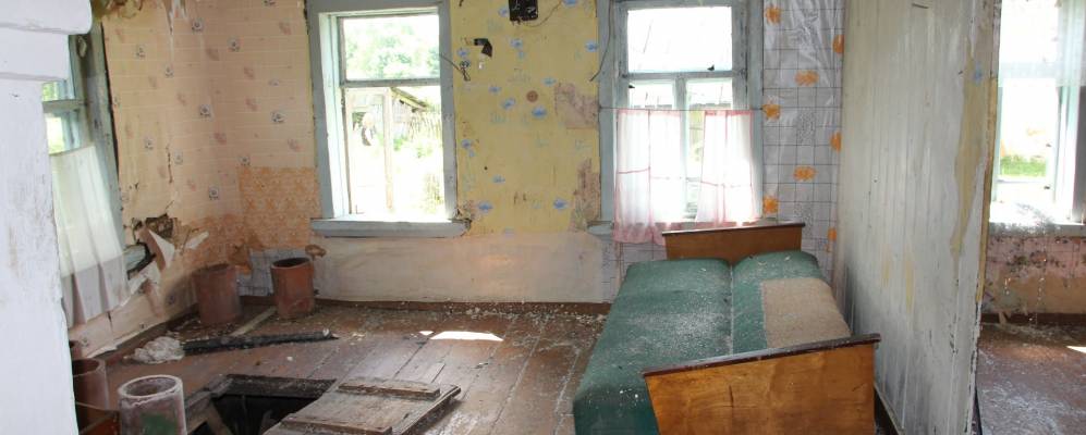 
            Фотография Володихи