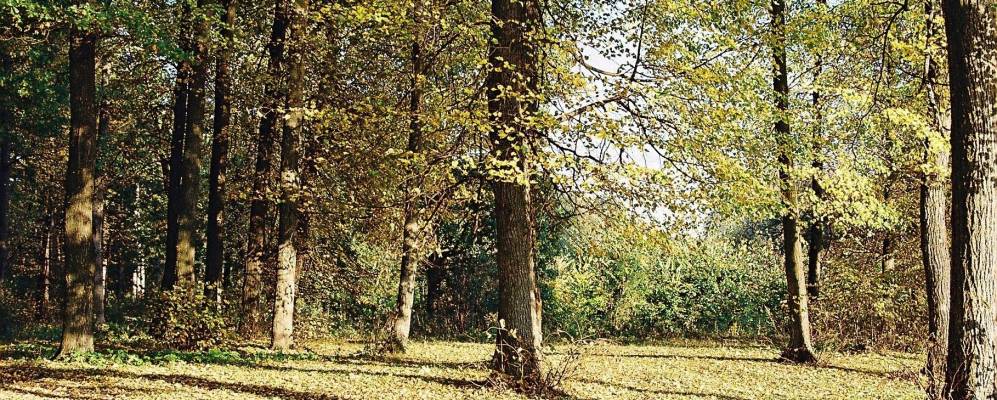 Фотография Красного Яра