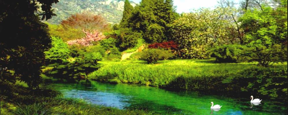 
            Фотография Нормы