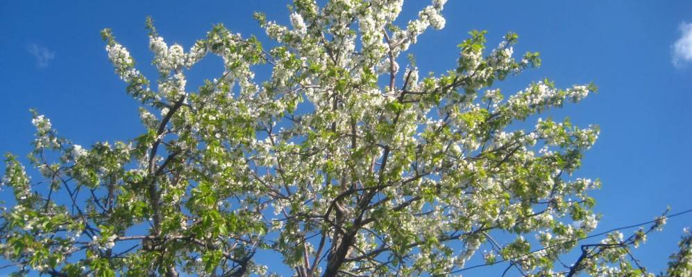 
            Фотография Арамуса