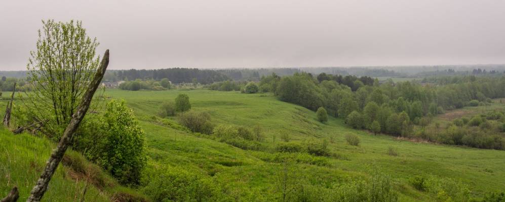 Фотография Никулино