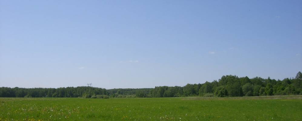 Фотография Оглоблино