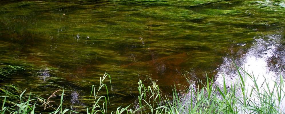 
            Фотография Быково