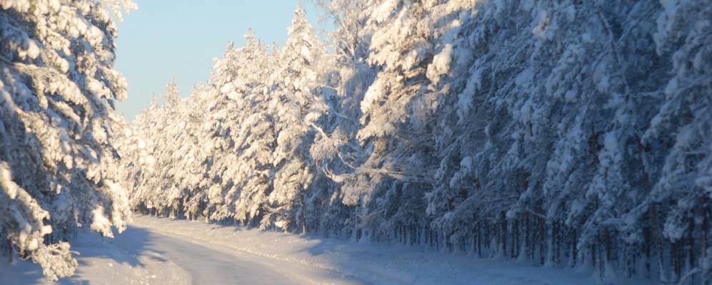 
            Фотография Кольяку