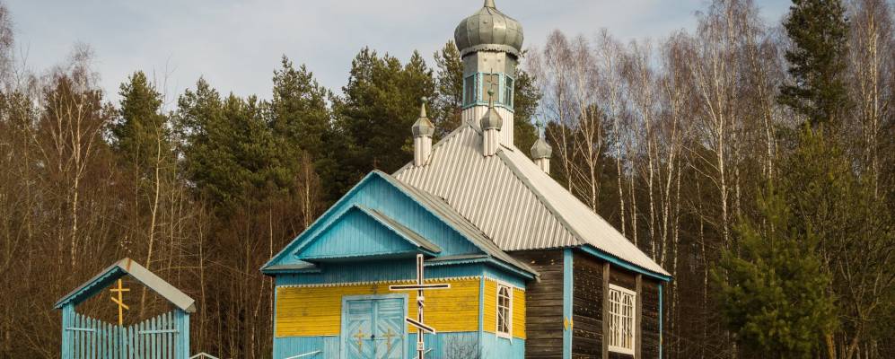 Фотография Скороды