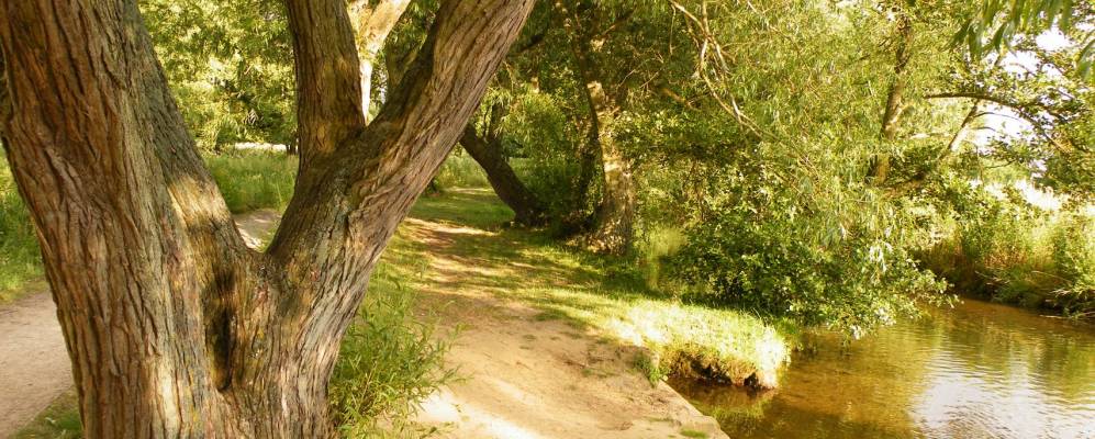 
            Фотография Факенхема