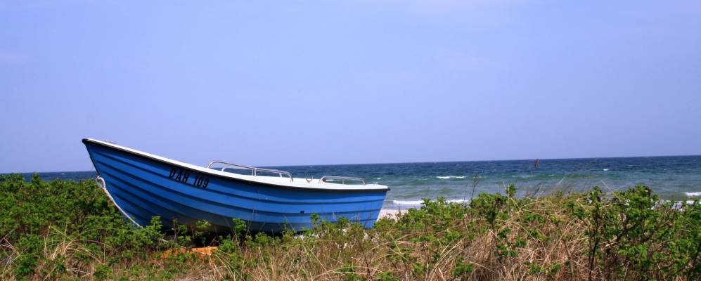 
            Фотография Даме