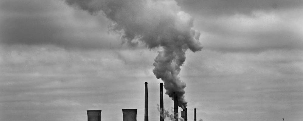 
            Фотография Голден Бича