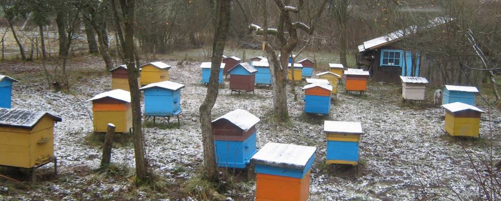 
            Фотография деревни Кобыльчицы