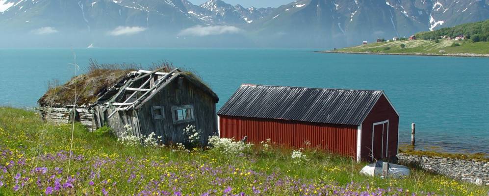 
            Фотография Дьюпвика