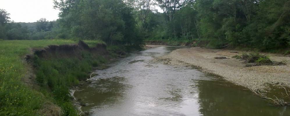 
            Фотография Плодопитомника