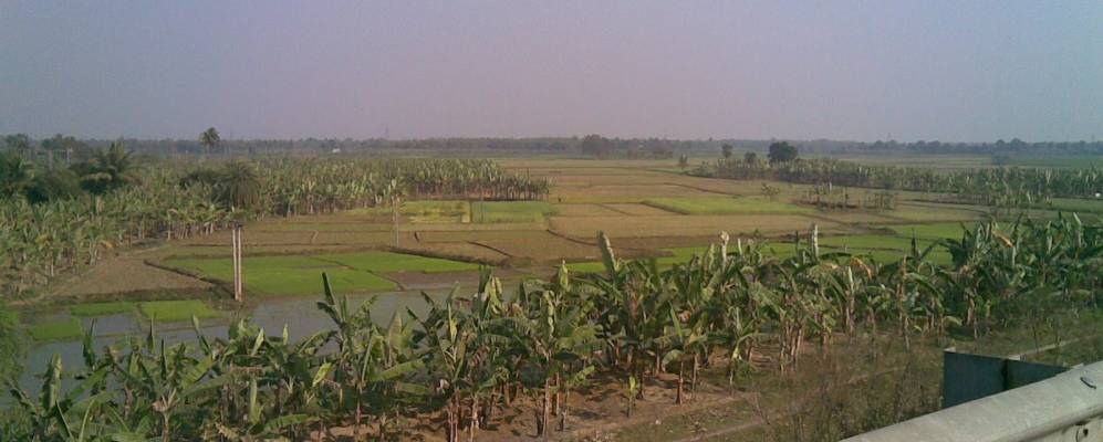 
            Фотография Сингура