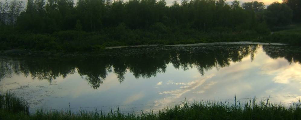 
            Фотография Богородского