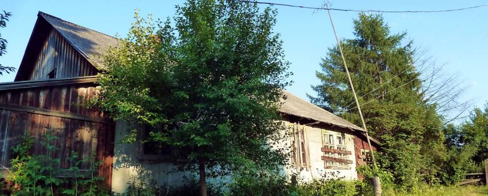 
            Фотография Боровой