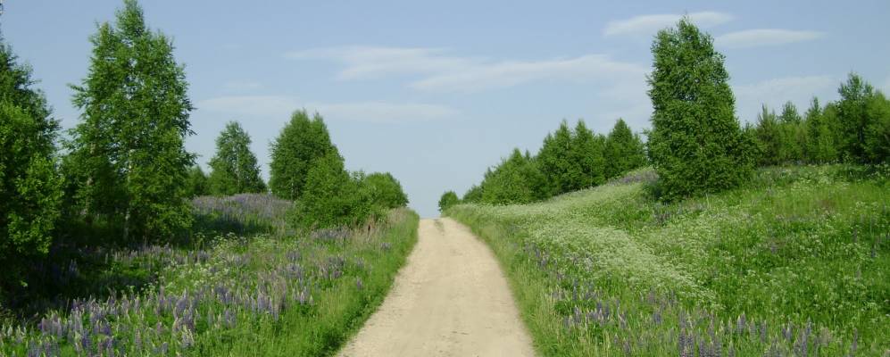 
            Фотография Волчихи