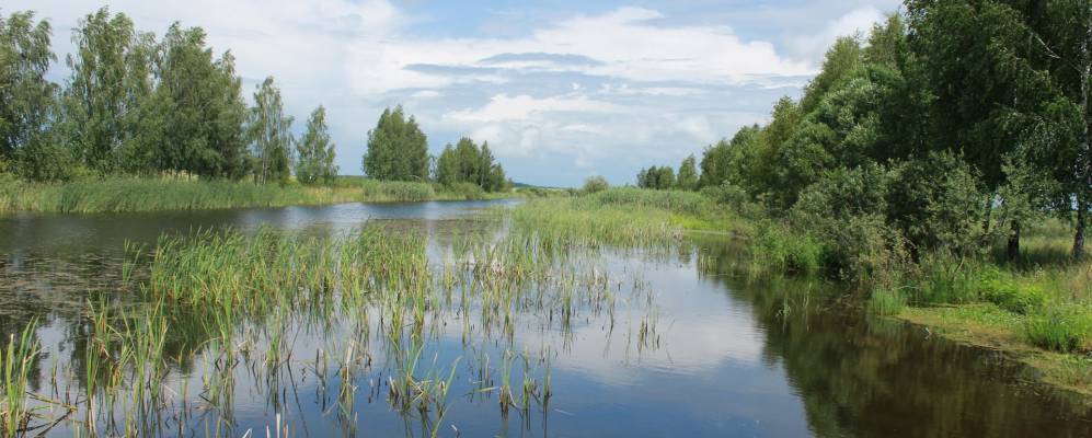 
            Фотография Неглюбки