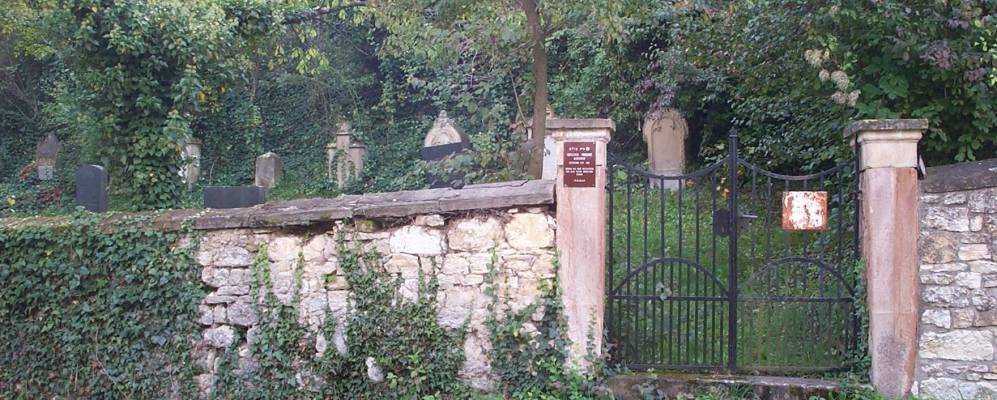 
            Фотография Альбисхайма