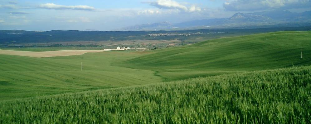 
            Фотография Хабалкинто