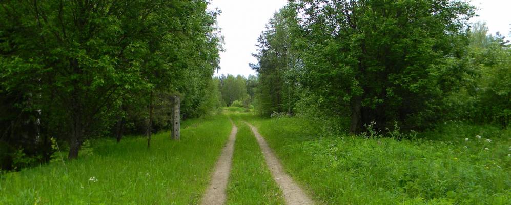 
            Фотография Филимоново