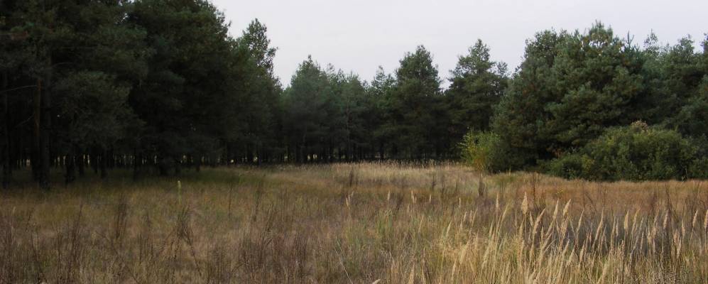 
            Фотография Поды