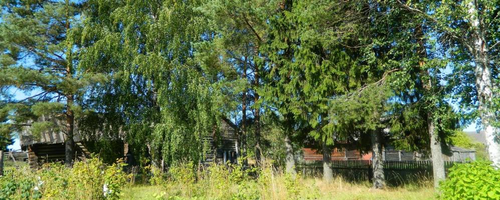 
            Фотография Мережино