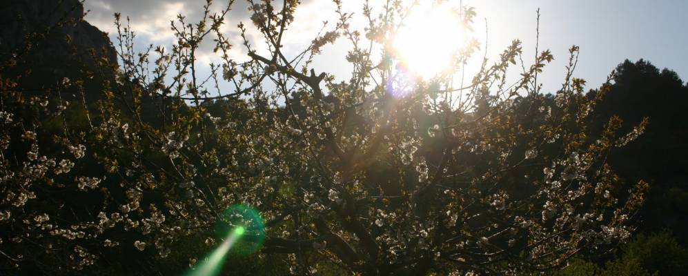 
            Фотография Орбы