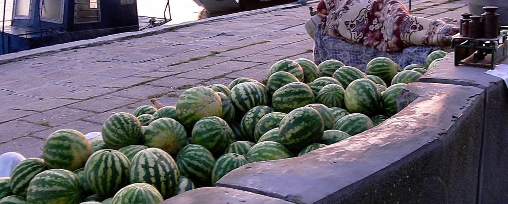 
            Фотография Сулины