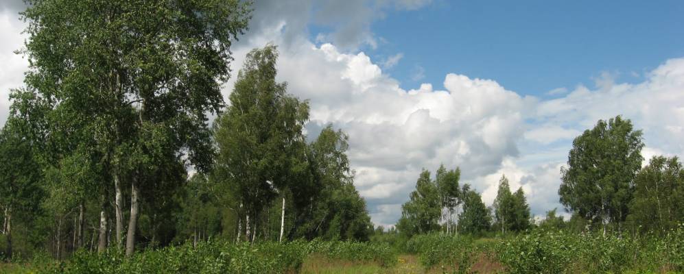 
            Фотография Ермашево